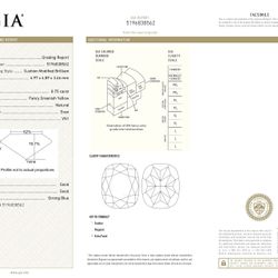 18KWG Cushion Shape Double Halo Ring
